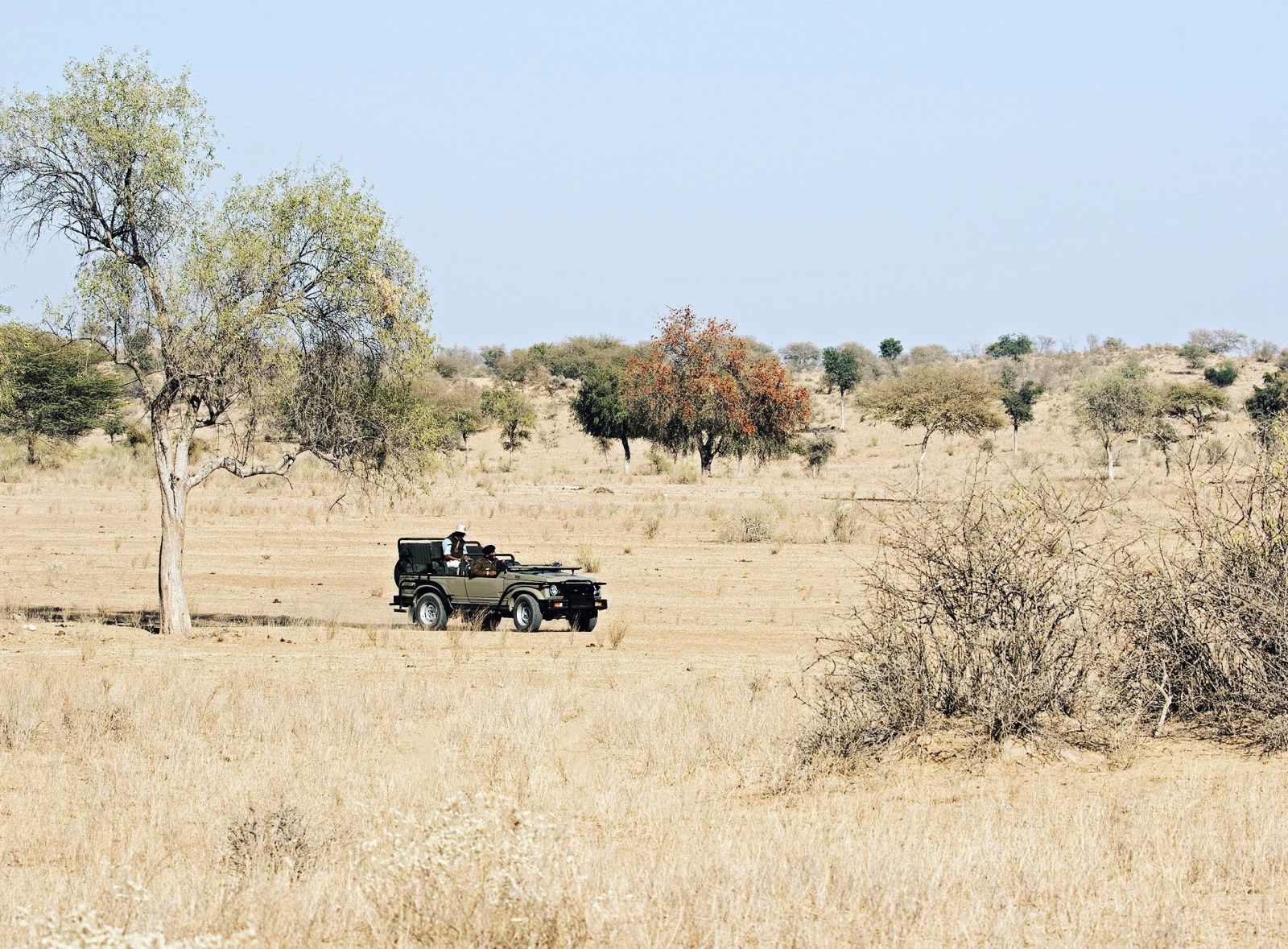 A safari jeep exploring the desert landscape