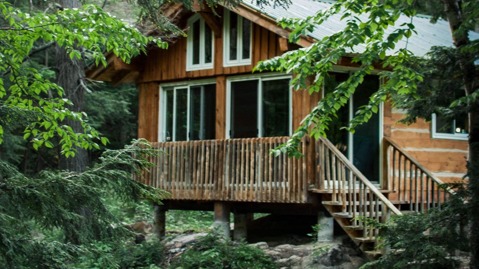 a wooden house in a forest during daytime