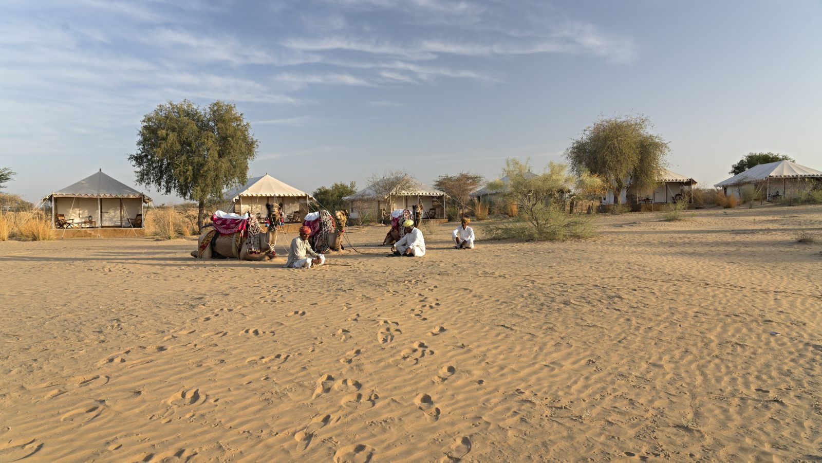 Camels resting alongside their caretakers in front of the tents at Manvar Resort and Desert Camp