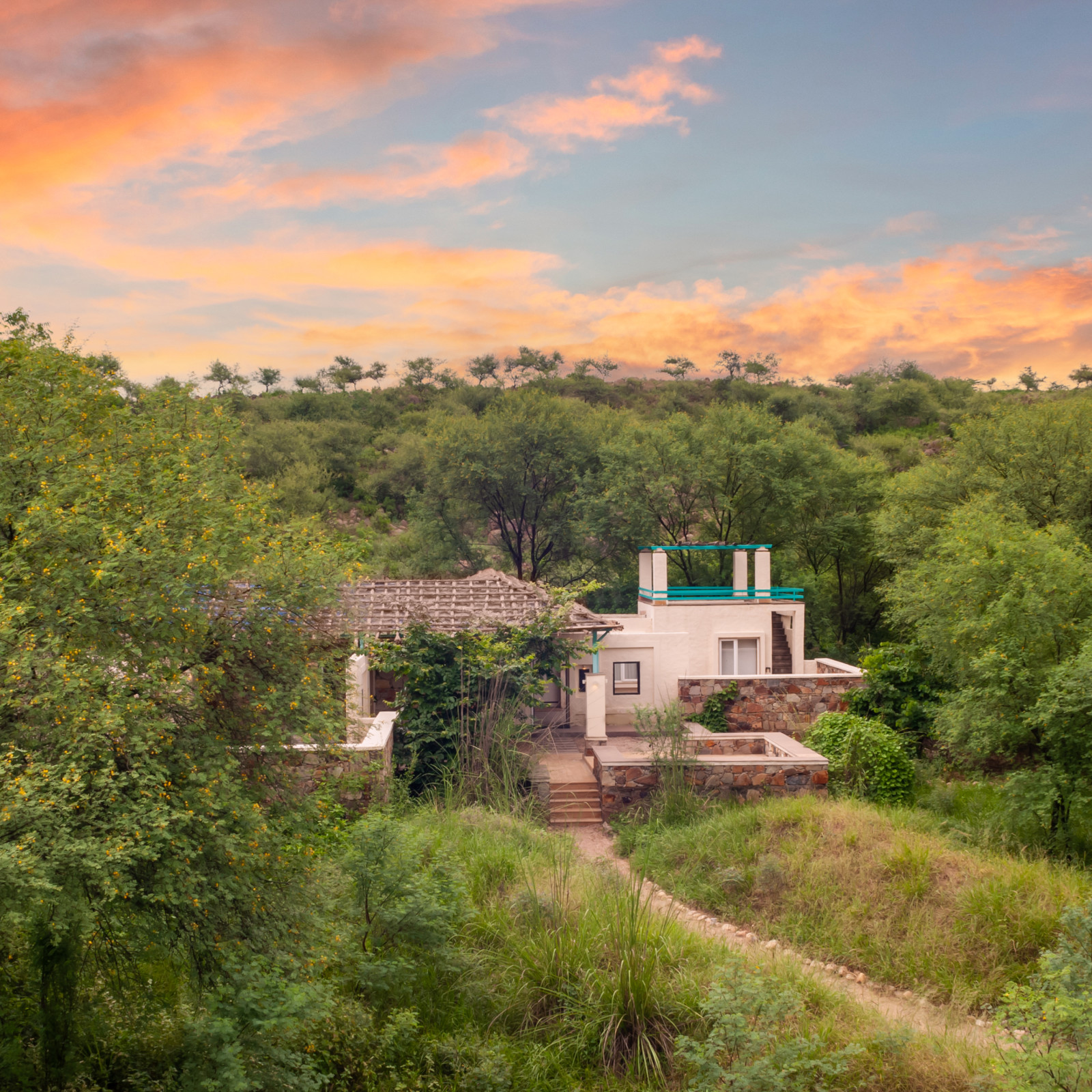 The facade of our lodge in Sariska - Trees N Tigers, Sariska