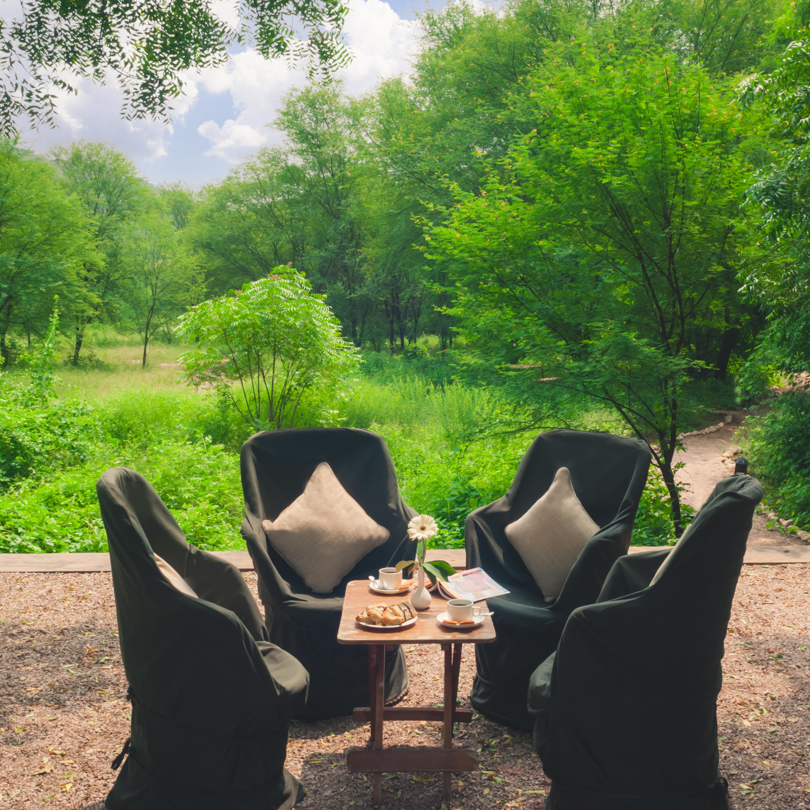 Cozy corners at Trees N Tigers, Sariska