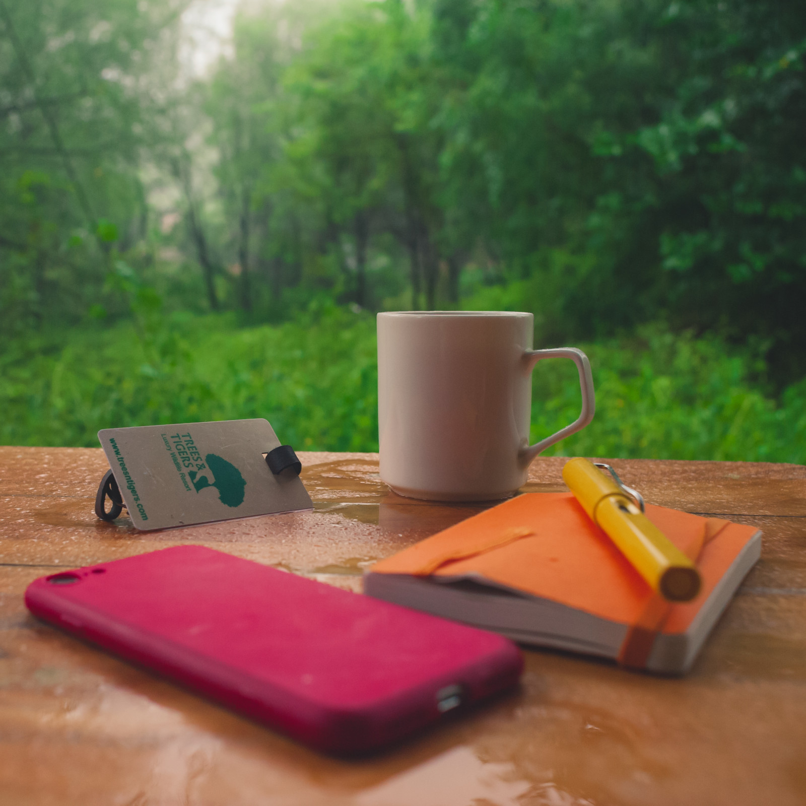 Cozy corners at Trees N Tigers, Sariska