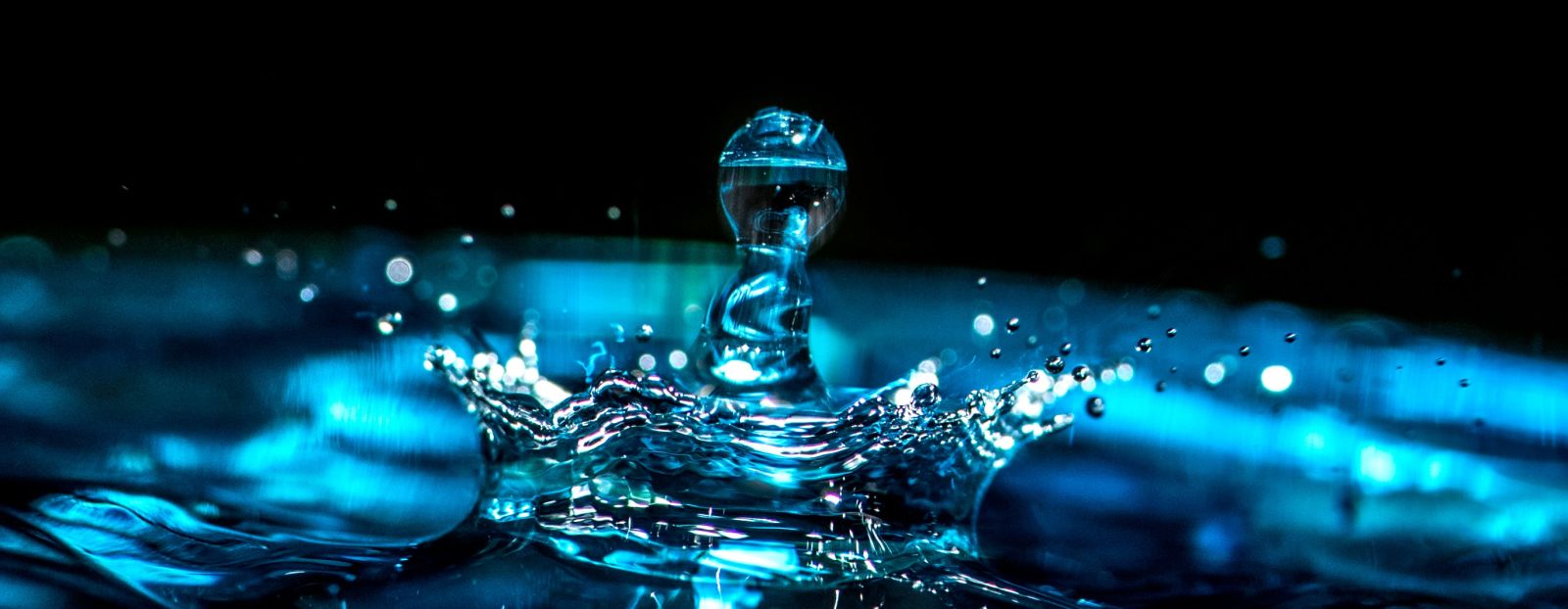 A close up shot of a water droplet - Gamyam Retreat