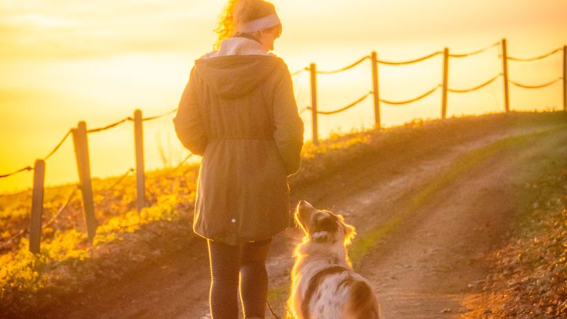 a woman walking her dog during sunset