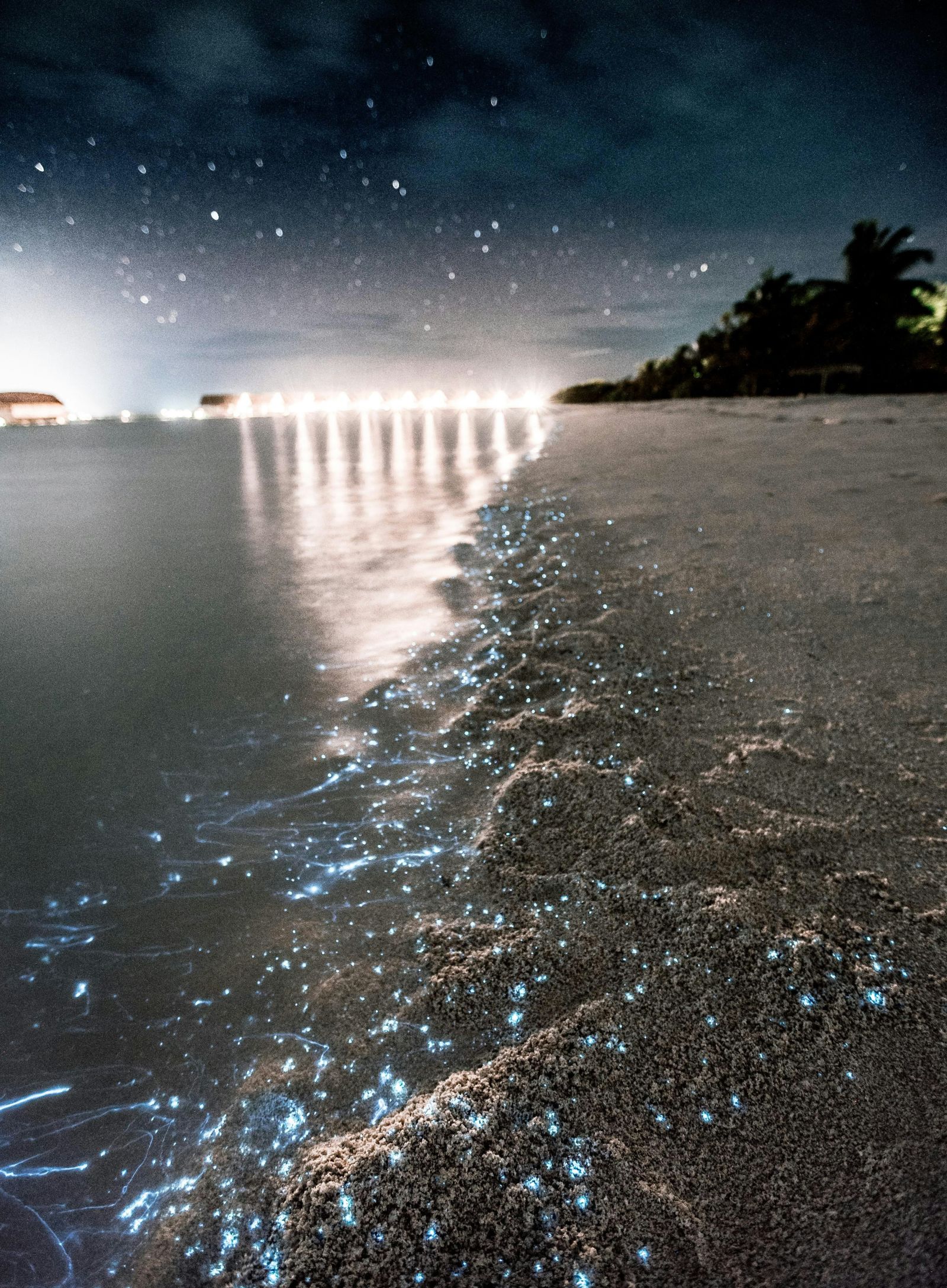 Phytoplankton bioluminescence on the shores of a beach with lights in the background