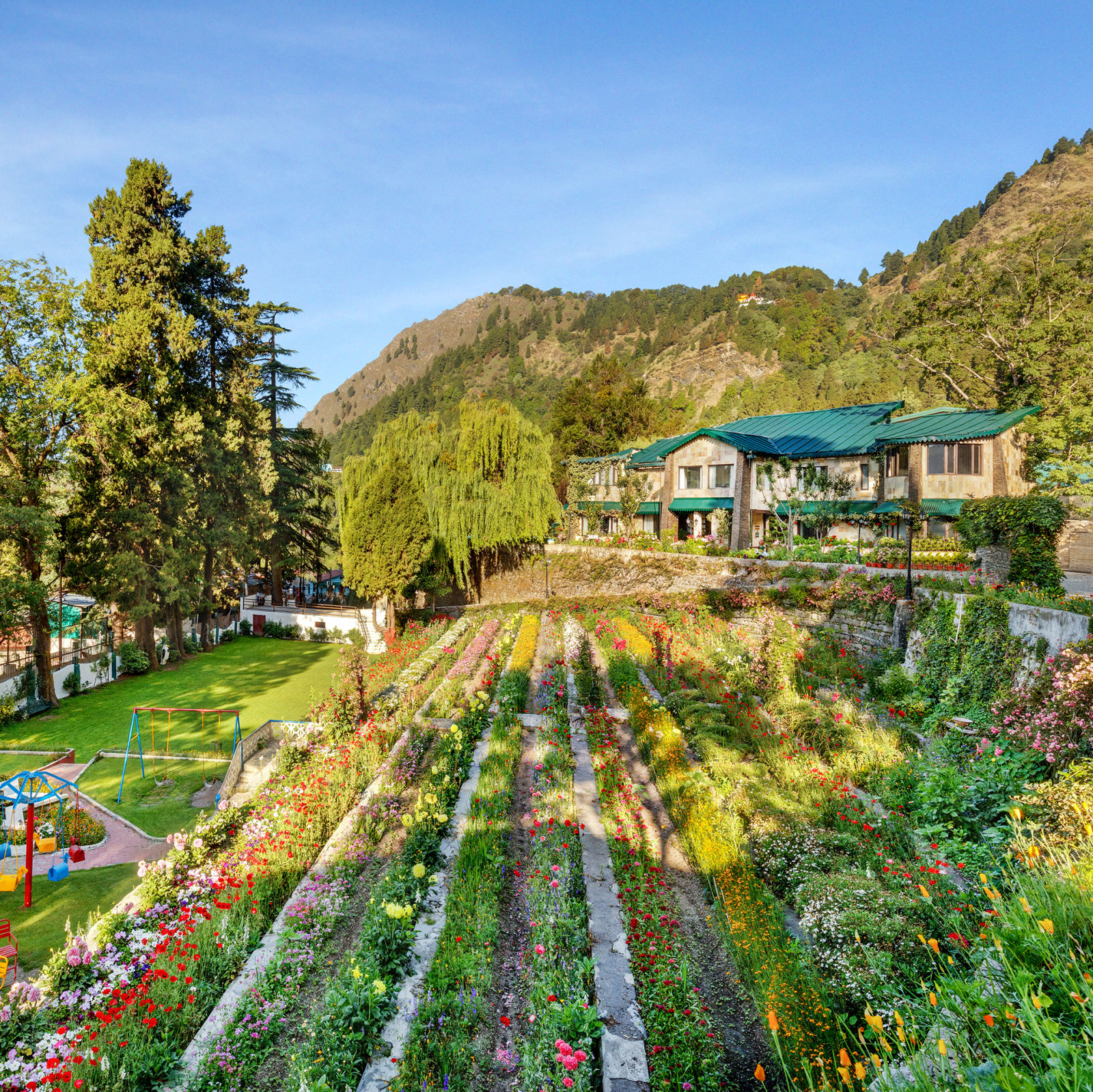   serene lake surrounded by lush green trees and mountains in the background at Shervani Hilltop Nainital 