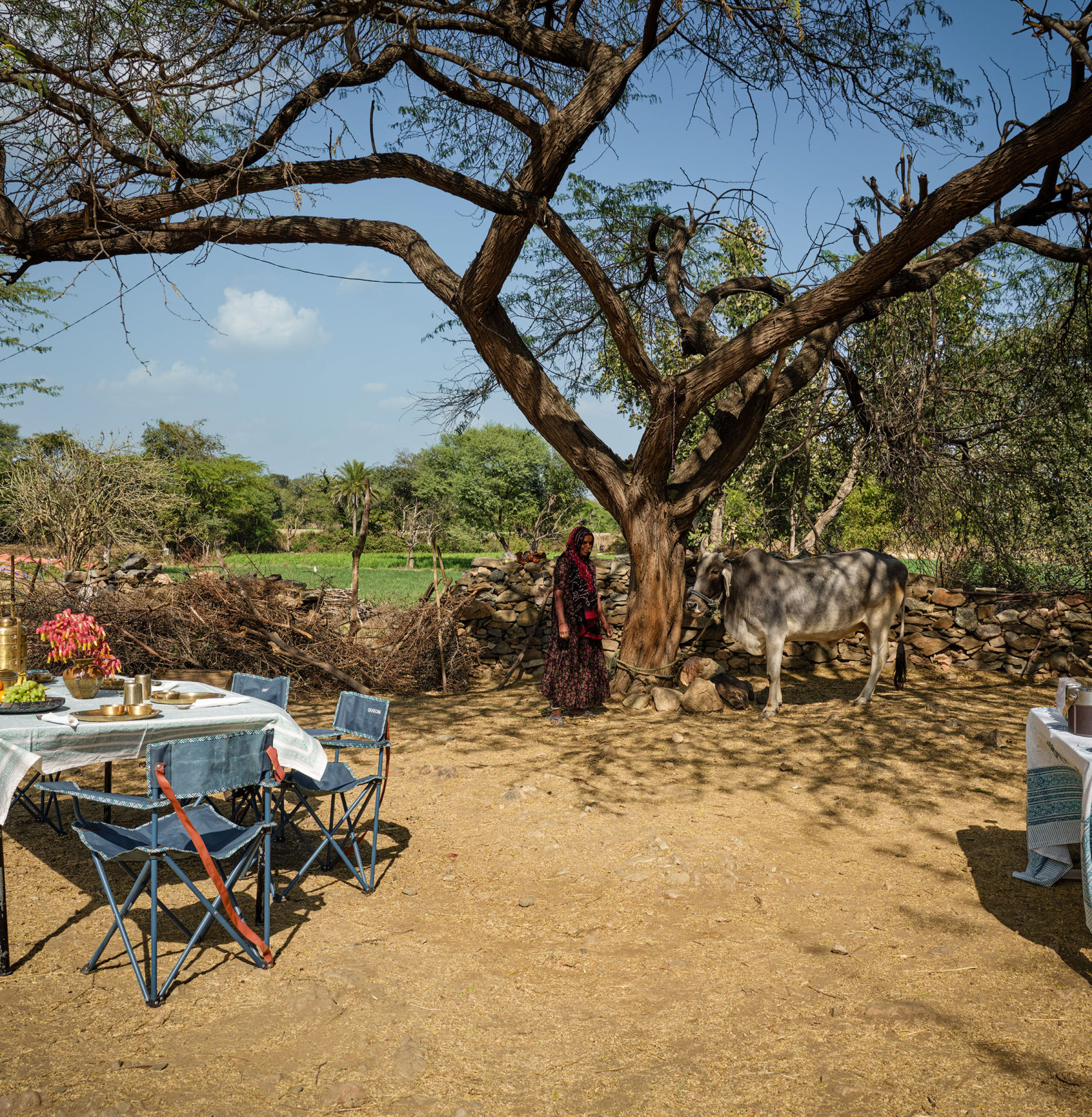 Picnic Lunch 2