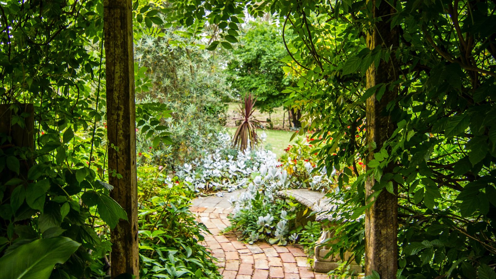 a stone pathway covered with greenery around