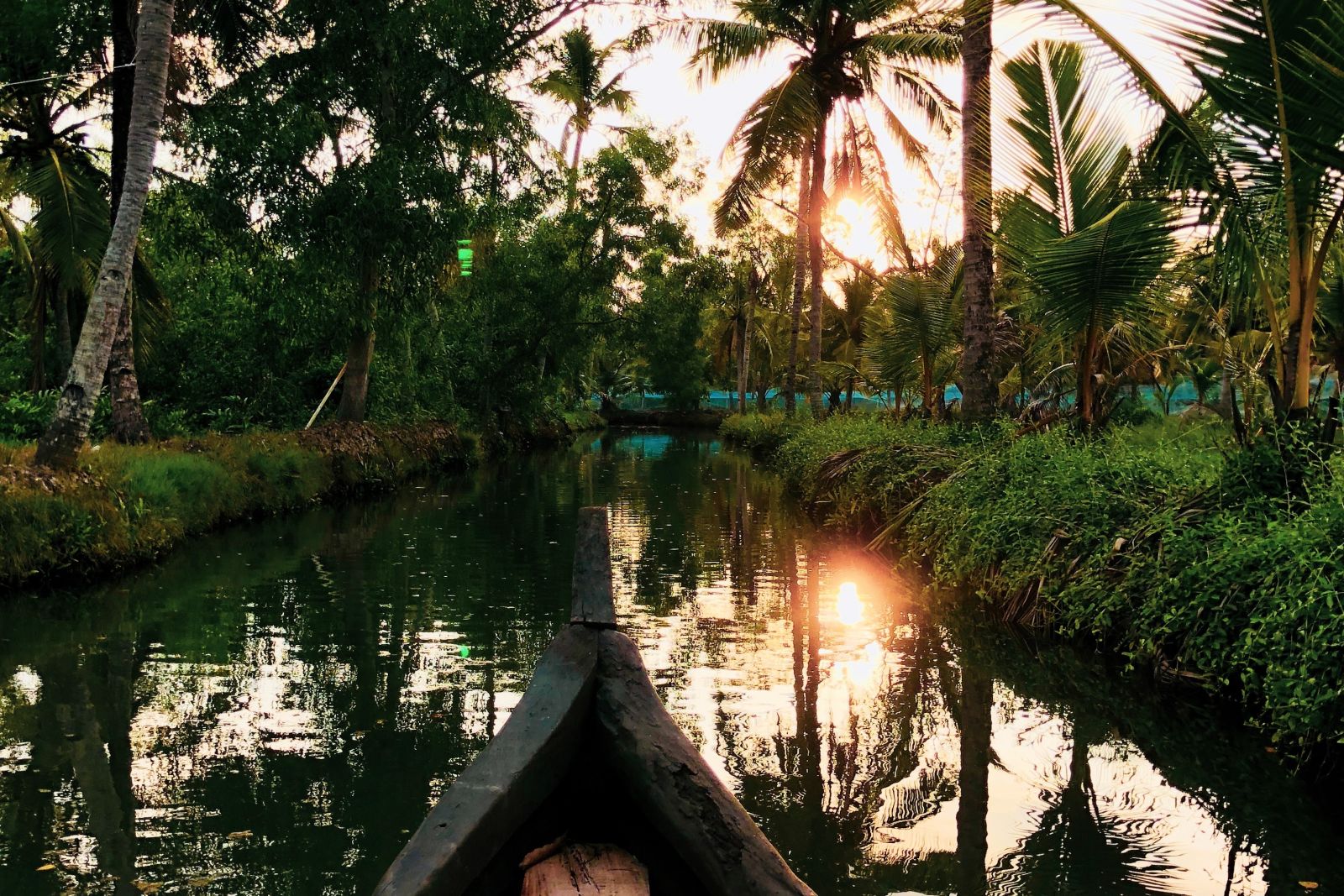 the bow of the boat faces the river and palm trees - Kumarakom Tourism