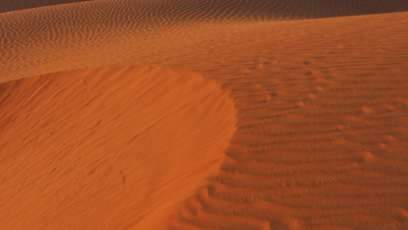 Sand dunes during the day - 2