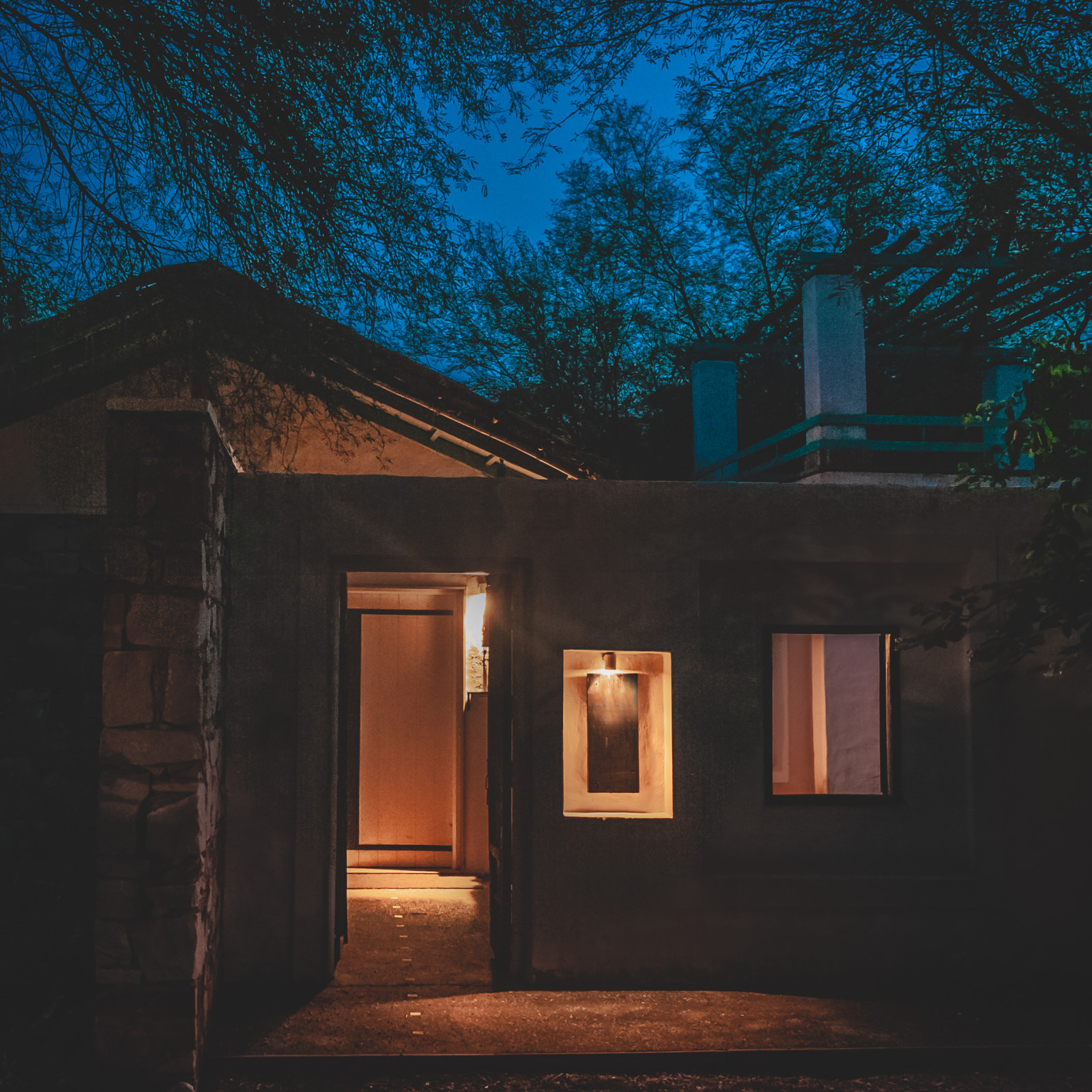 NIght Sky images of the Facade, Trees N Tigers, Sariska