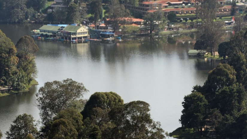 view of a lake surrounded by greenery