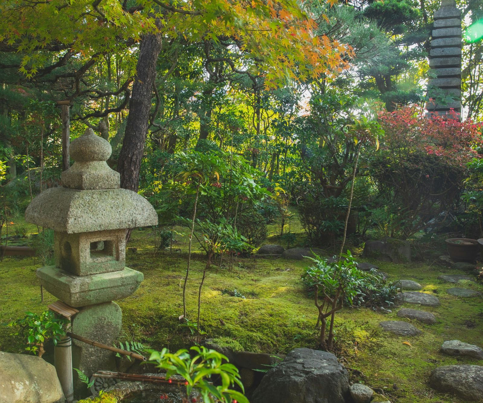 image of a garden surrounded by rocks