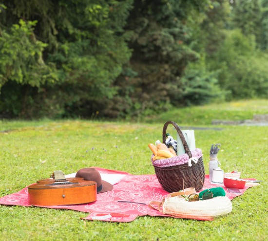 alt-text picnic-basket-filled-with-food-with-personal-accessory-blanket-green-grass