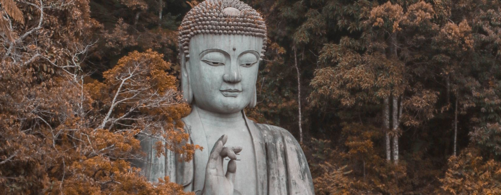 large buddha statue surrounded by trees