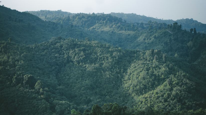 an aerial view of Nokrek National Park from afar with blue sky in the background