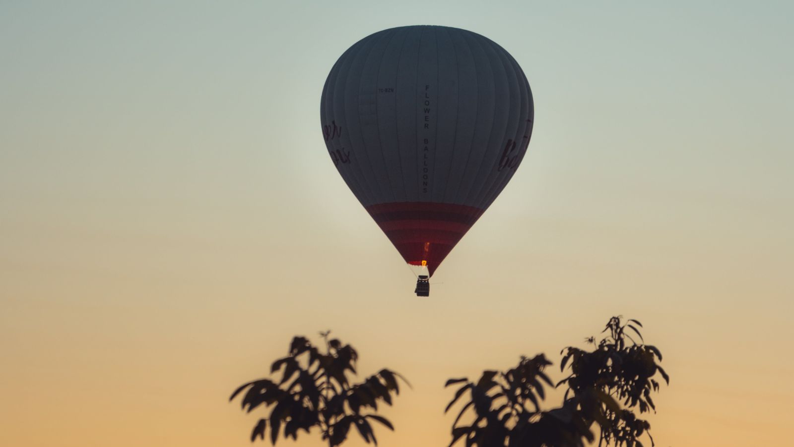 hot air balloon ride at sunset with coconut trees below it