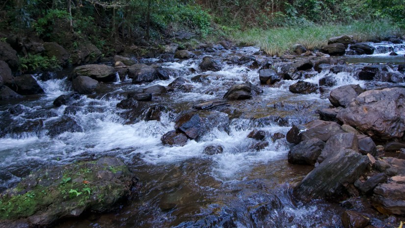 river stream with water passing through the rocks