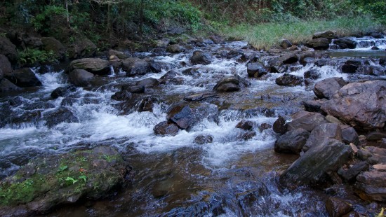 stream amid rocks and trees