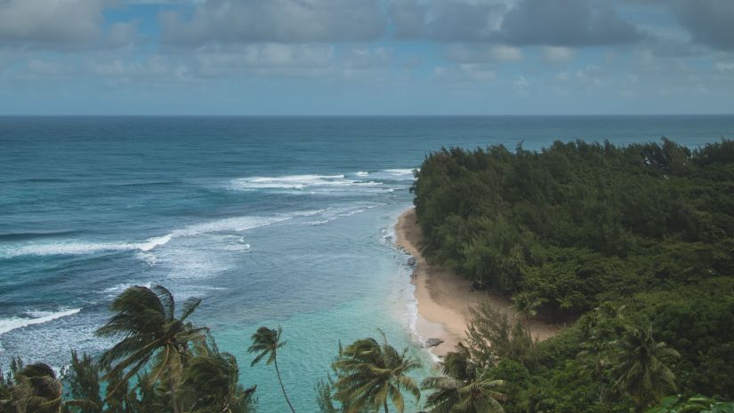 A stunning beach with a cluster of palm trees