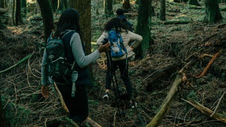 Two hikers walking through a dense forest.