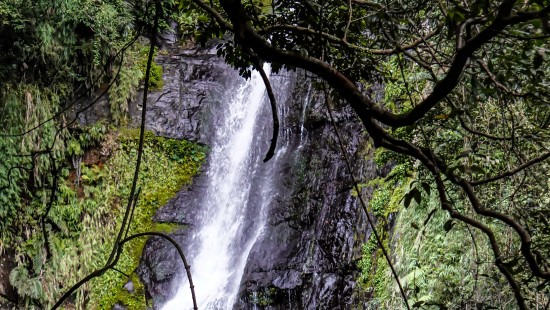Waterfall amid greenery