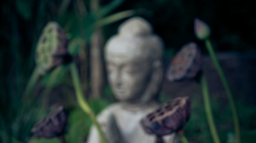 A statue of Buddha and a lotus bud