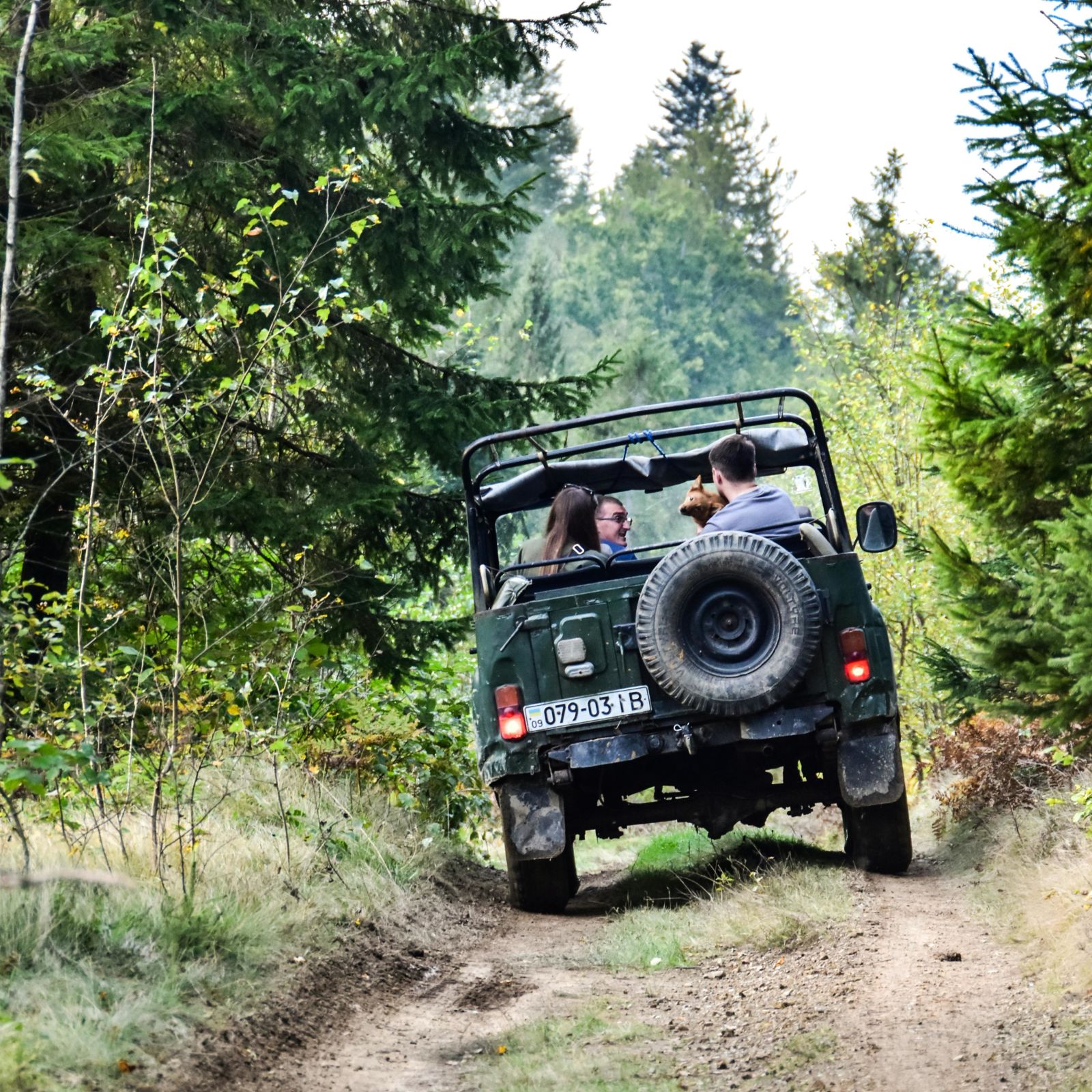 image of a safari jeep with passengers in it going though a trail in a rain forest for a safari adventure