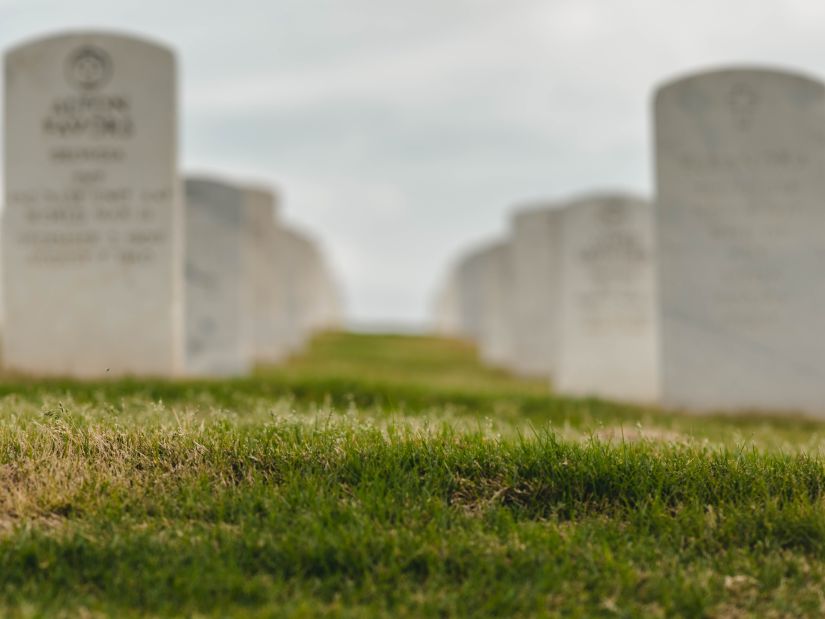 a close up shot of the grass with headboards in the cemetery in the background