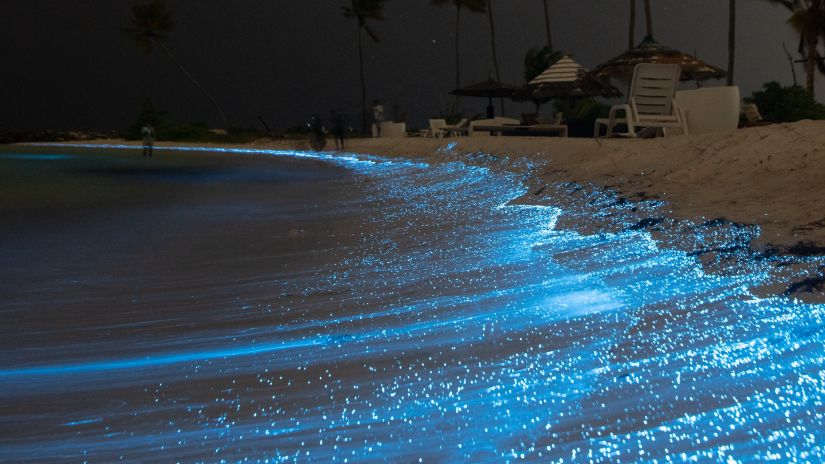 bioluminescence lighting up the waves at nightime - Havelock Island at night