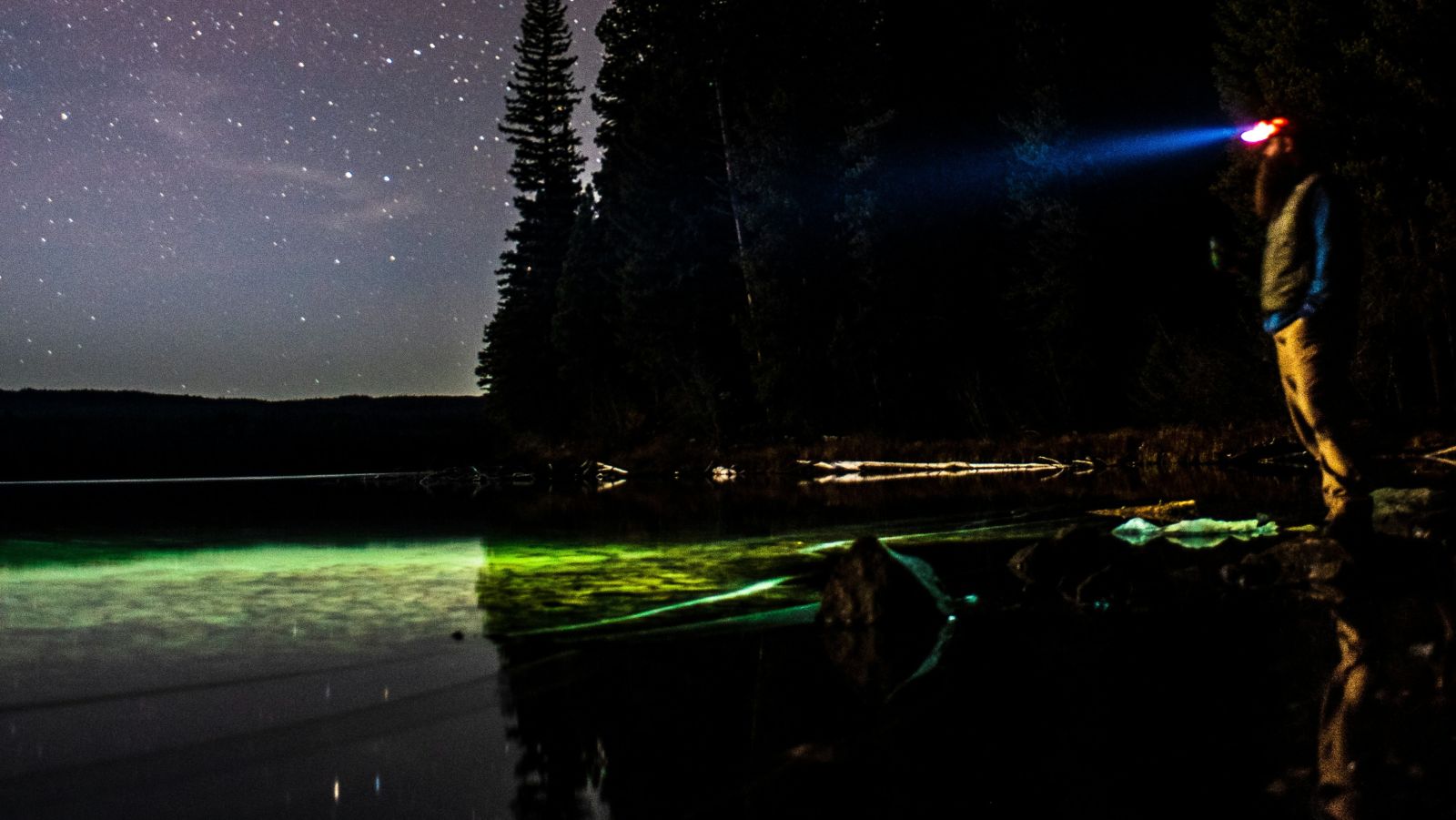 A person holding a torch looking at the bioluminescence on the water 