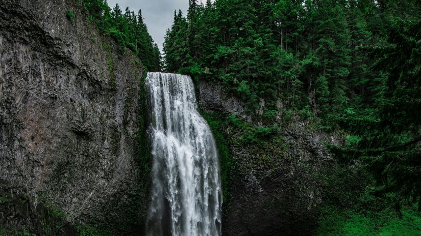 iamge of a waterfall flowing amidst the lush green forest