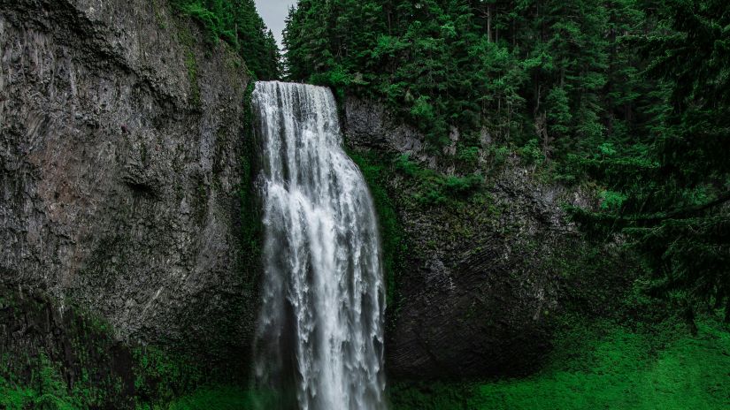 iamge of a waterfall flowing amidst the lush green forest