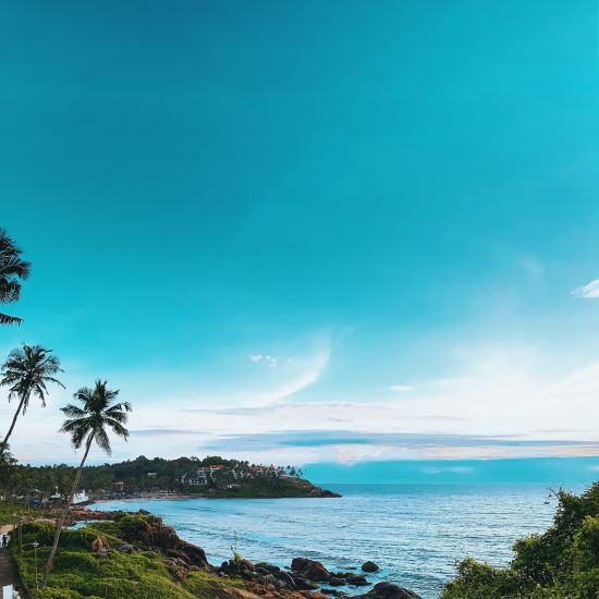 view of a beach with greenery surrounding the sea