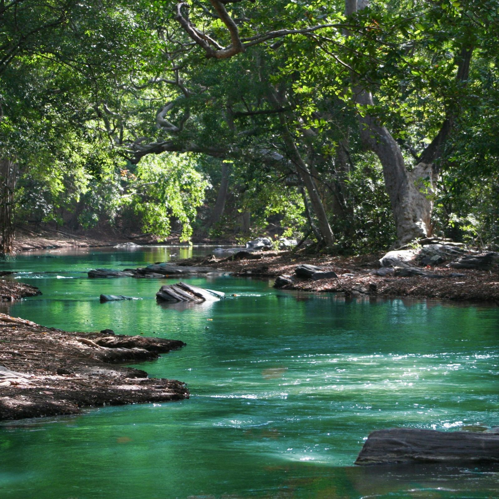 river bath