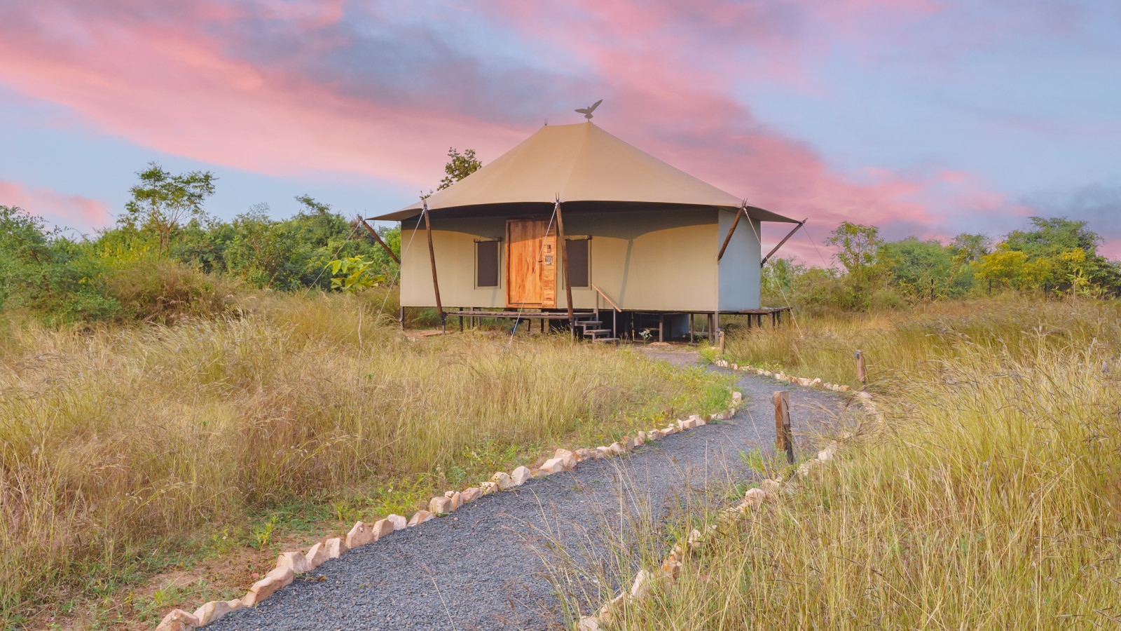 A hut shaped tent in the middle of a jungle at Trees N Tigers Tadoba