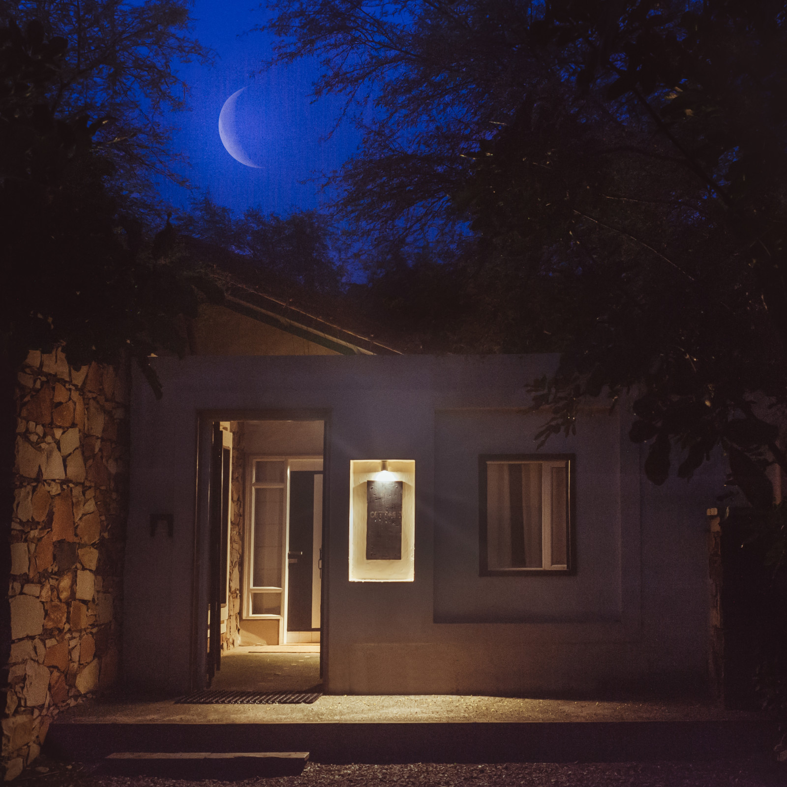 NIght Sky images of the Facade, Trees N Tigers, Sariska