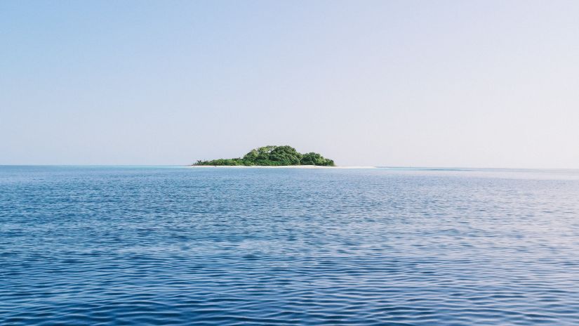 an island covered with greenery in the middle of the ocean