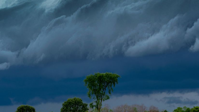 dark clouds covering the sky with trees and grass in the foreground