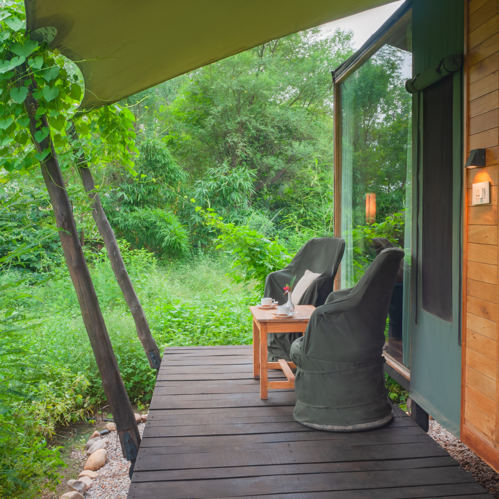 Stunning image of rooms at Trees N Tigers, Sariska