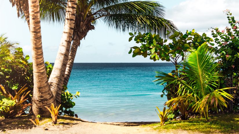 view of the blue sea amidst the lush greenery