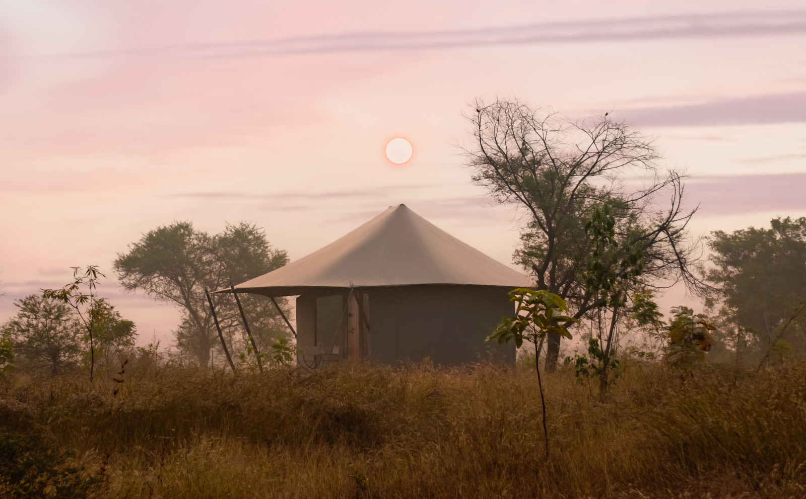 Evening View of a hut amongst greenery - Trees N Tigers Tadoba