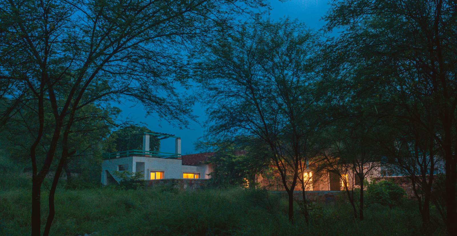 NIght Sky images of the Facade, Trees N Tigers, Sariska