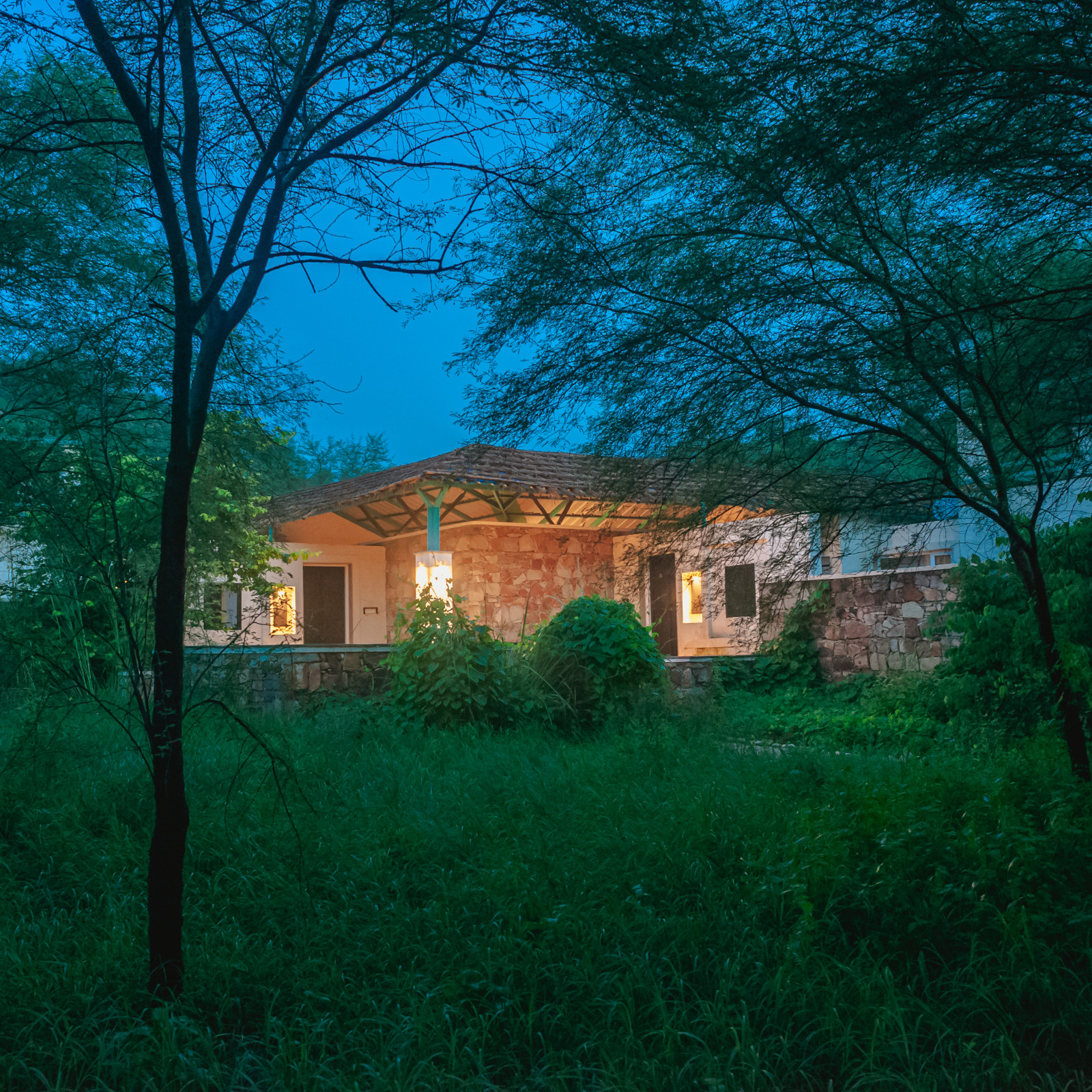 NIght Sky images of the Facade, Trees N Tigers, Sariska