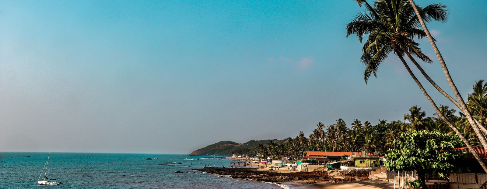 An overview of Anjuna Beach with the coconut trees and blue sky in view