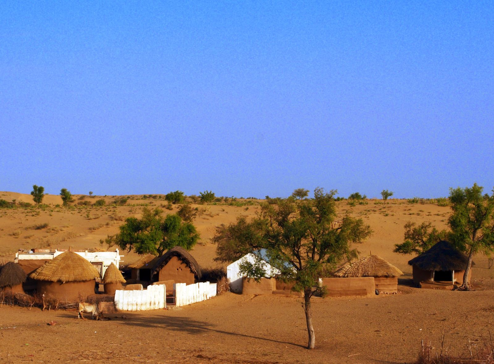 3 desert villages