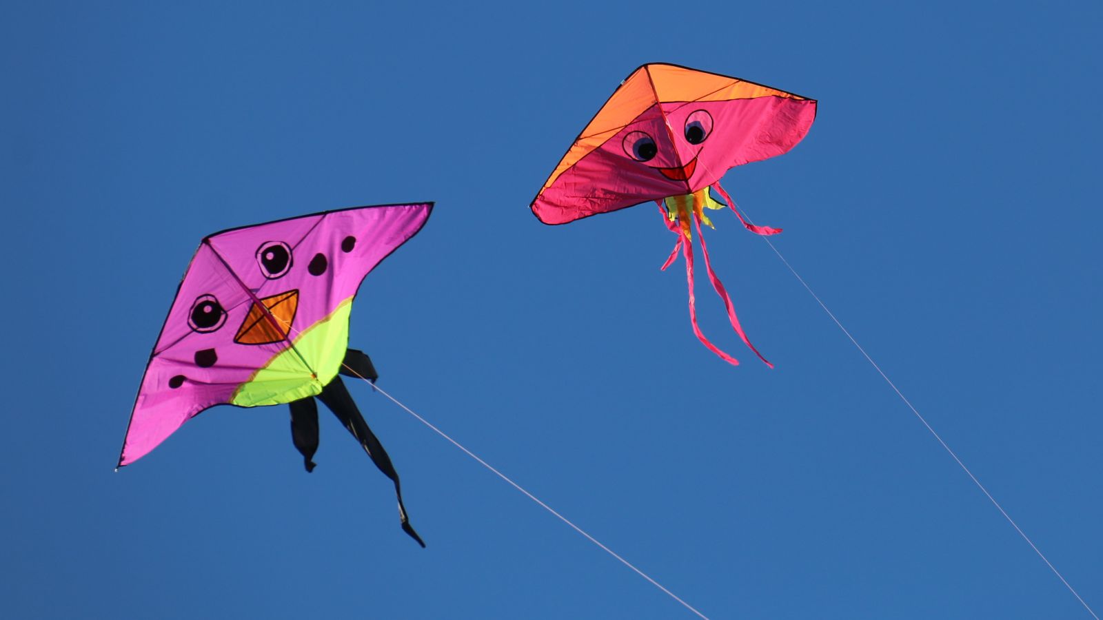 two kites with neon colour and tails at a Goa Kite Festival 