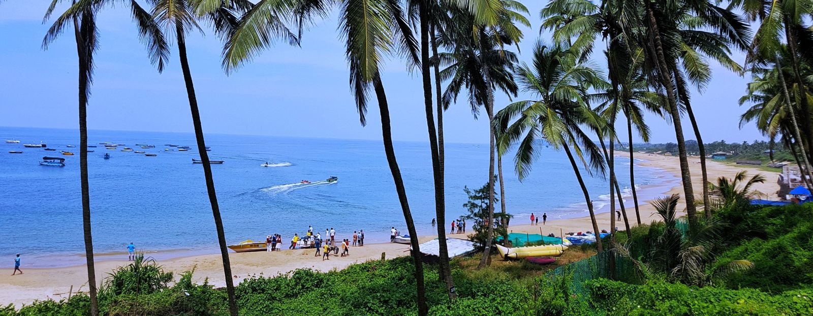 Caravela Beach Resort - view of a beach with coconut trees outlining it