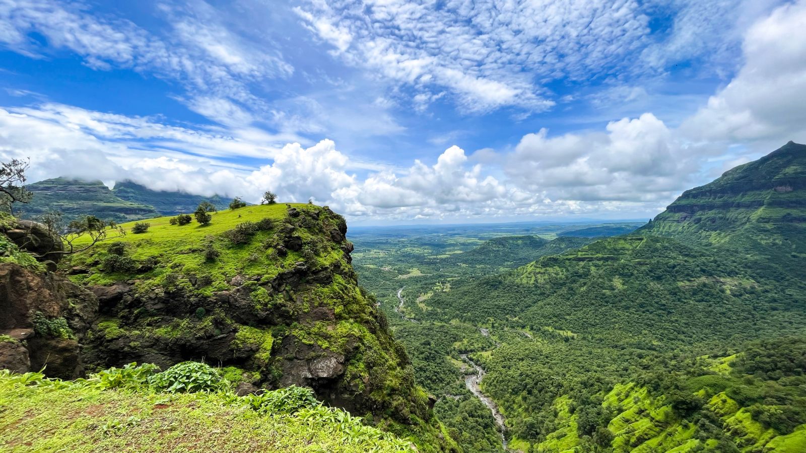 a lush green cliff under blue sky during daytime