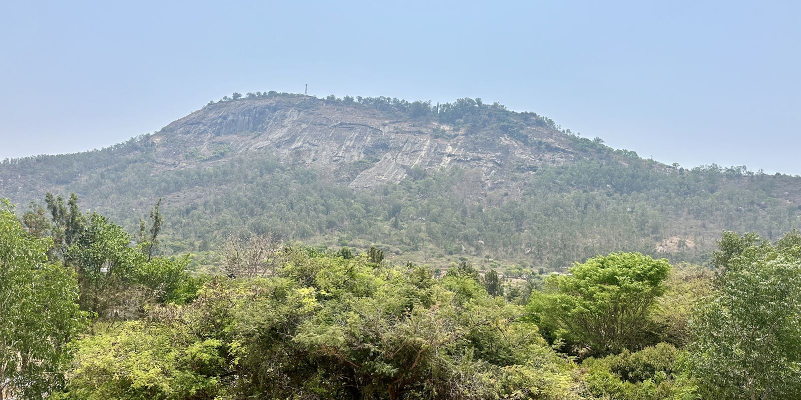 View from the balcony of one of the rooms at Summer House, Nandi Hills